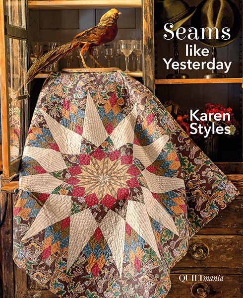 We had a GREAT time with Karen Styles - The Quilt Asylum